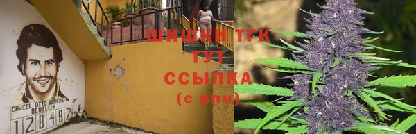 МДПВ Володарск